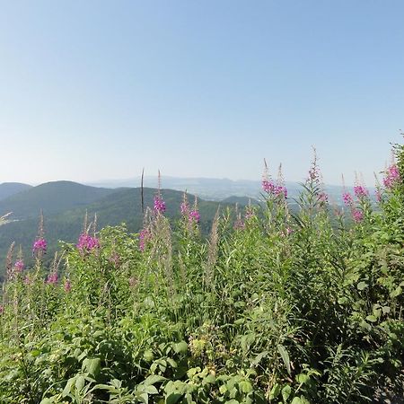 Bed and Breakfast La Maison De Maidara Olby Екстер'єр фото