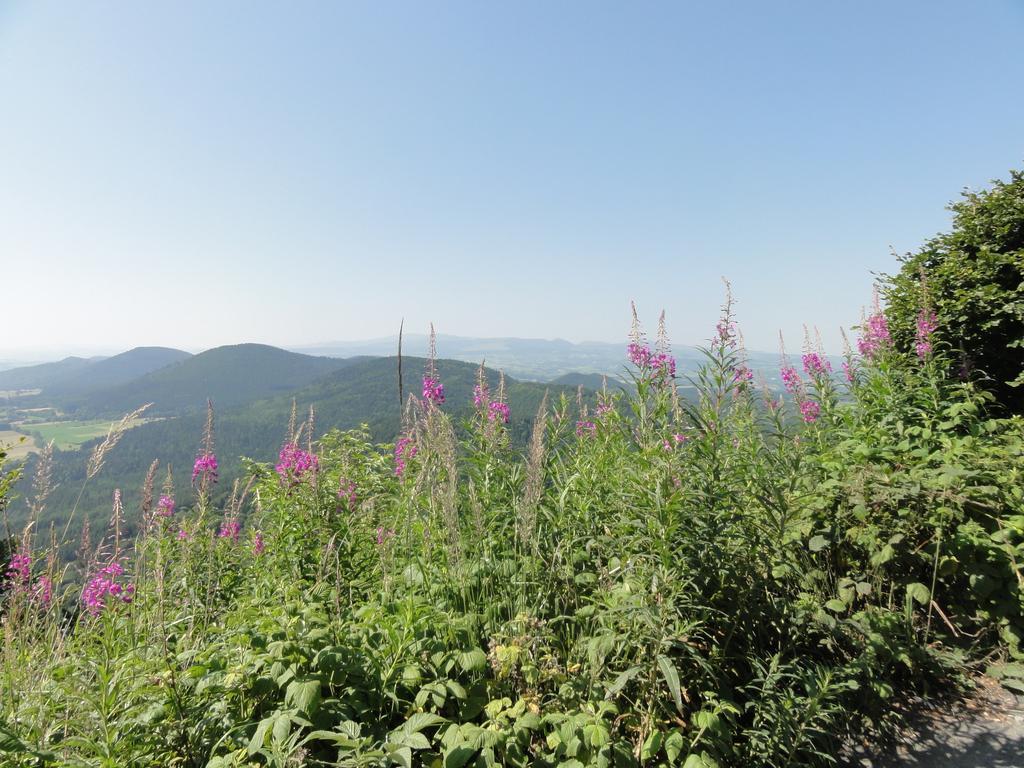 Bed and Breakfast La Maison De Maidara Olby Екстер'єр фото